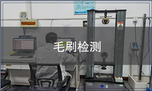 毛刷檢測 毛刷檢測