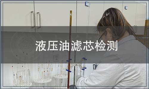 液壓油濾芯檢測(cè)