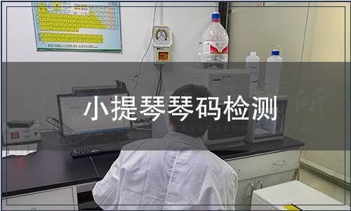 小提琴琴碼檢測(cè)
