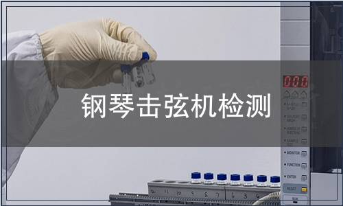鋼琴擊弦機(jī)檢測(cè)
