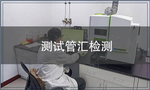 測試管匯檢測